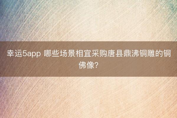 幸運(yùn)5app 哪些場景相宜采購唐縣鼎沸銅雕的銅佛像？
