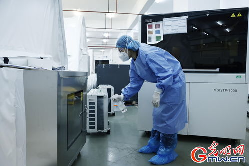 守滬者聯盟丨上海建成'火眼'實驗室，日檢測通量可達10萬單管